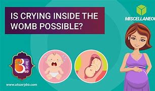 Image result for How Do Baby's Memory Work