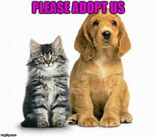 Image result for We Support Dog Adoption Meme