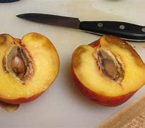Image result for Rotten Peach