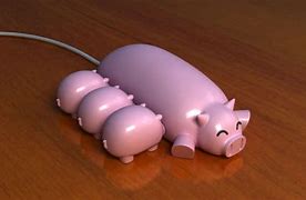 Image result for USB Pig Case