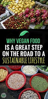 Image result for Why Vegan Food Is Good