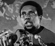 Image result for Stokely Carmichael
