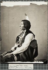 Image result for Lone Wolf Native American