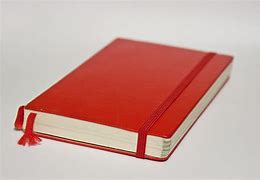 Image result for Moleskine Pro Notebook