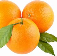 Image result for Free Pictures of Oranges