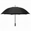 Image result for Silver Umbrella Flash