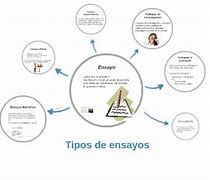 Image result for Tipos De Ensayo