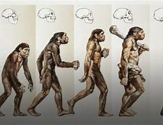 Image result for Humans 9000 Years Ago