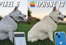 Image result for Pixel 6 vs iPhone 13 Camera