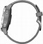 Image result for VivoActive 4S Silver