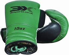 Image result for 10-Ounce Boxing Gloves