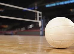 Image result for Vally Ball Net