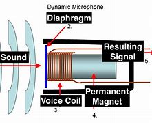 Image result for Parts of a Dynamic Microphone