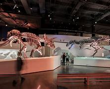 Image result for Houston Natural Science Museum