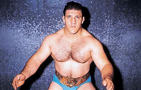 Image result for Vintage WWF Wrestlers