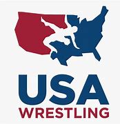 Image result for Wrestling Icon USA