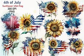 Image result for American Flag Sunflower PNG