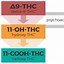 Image result for How Long Does THC Stay in Hair