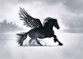 Image result for Black Pegasus Centaur