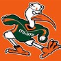 Image result for Miami Hurricanes Logo.png