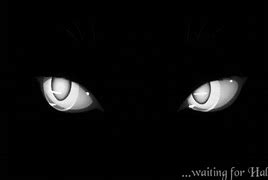 Image result for Wolfinstin Glowing Eyes GIF
