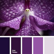 Image result for Light Purple 4S