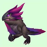 Image result for Purple Hunter Pets WoW