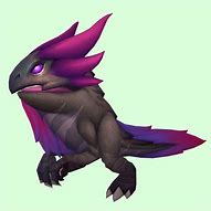 Image result for WoW Dragon Hunter Pets