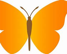 Image result for Butterflies Cartoon Image Cute and Easy to Draw
