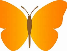 Image result for Colorful Butterfly Vector