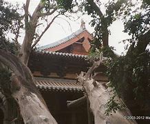 Image result for Wutai Shan Buddhist Garden