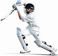 Image result for PNG Cricket Wick-it Keeper