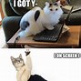 Image result for Cat Laptop Meme