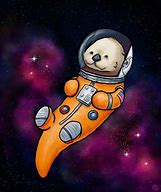 Image result for Otter Space Picyures