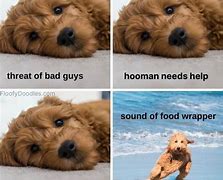 Image result for Doodle Memes