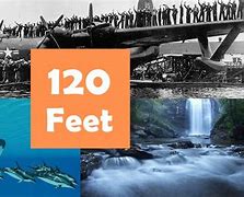 Image result for How High Is 120 Feet