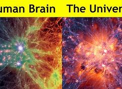 Image result for brain neurons vs universe