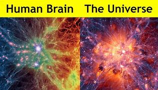 Image result for The Human Brain Is a Universe