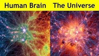 Image result for Brain Universe Theory