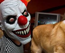 Image result for Scared Funny Animals