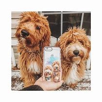 Image result for Phone Case Dog with No Ears