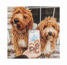 Image result for Dog Cute Phone Cover