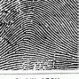 Image result for Loop Fingerprint