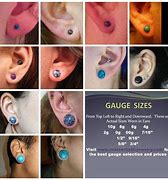 Image result for Gauged Ear Sizes