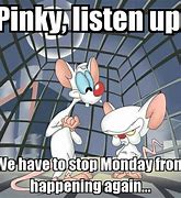 Image result for Pinky and the Brain Meme Jesus