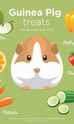 Image result for What Can Guinea Pigs Eat