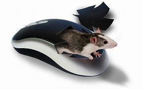 Image result for Computer Mouse Wallpaper