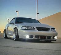 Image result for The Newest Mustang Terminator