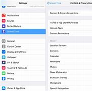Image result for iPad Parental Control Settings