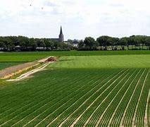 Image result for Rural Netherlands